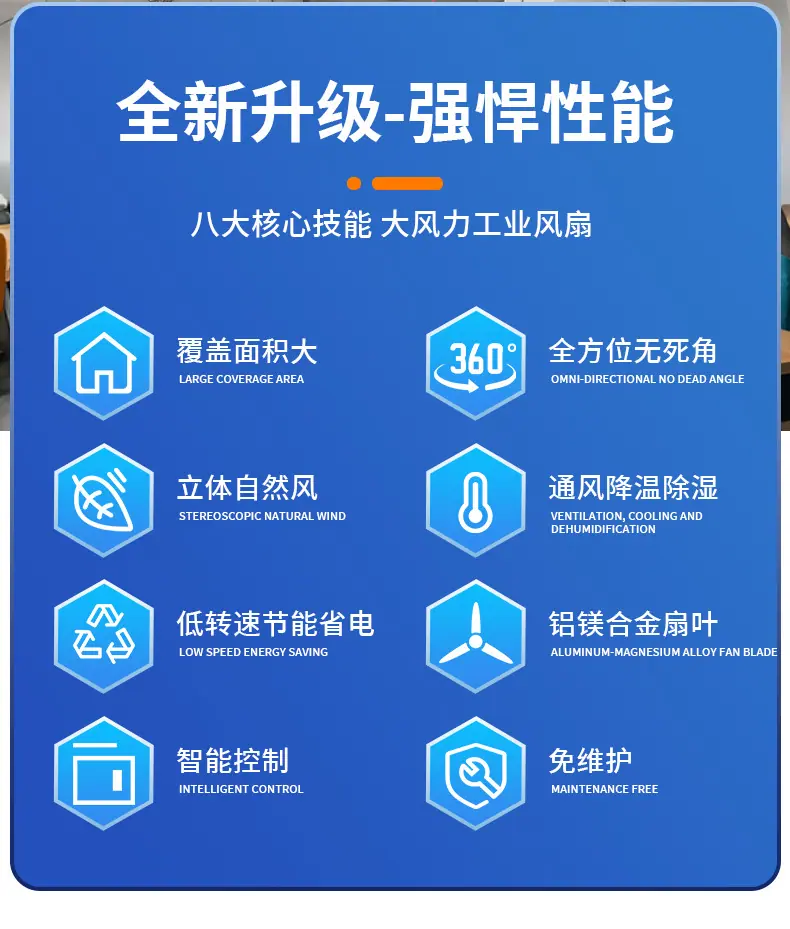 详情页_03.jpg