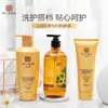 Artículos genuinos sin aceite de silicona champú suit champú de jengibre champú mushang champú moshangai gel de ducha de jengibre al por mayor