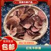 Hongos Ostra Rojos Secos, Especialidad de Yunnan, Tamales Rojos Pegajosos, En Stock para Venta al por Mayor con Envío Gratis