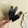 Flor Imortal Preta Materiais DIY Flores Secas Espécimes de Plantas Reais Decoração de Casa de Bonecas Flor de Anel Mini