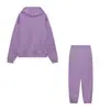 Traje de Dos Piezas para Mujer de Moda Casual Otoño e Invierno, Sudadera Gruesa de Manga Larga y Pantalones