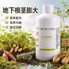 Agente hinchador de rizomas subterráneos Tierra especial para hinchamiento subterráneo Patatas Camotes Cabezas de ajo Camotes Fertilizante foliar de alta calidad