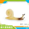 Simulação transfronteiriça modelo de réptil caracol jardim paisagem de jardim decoração estática mesa de areia decoração de mesa brinquedo