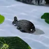 Musgo micro paisajismo paisaje marino miniatura peces lindos planta carnosa creativa en maceta decoración adornos creativos diy