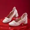 Zapatos Mary Jane Bordados 2023 Primavera Baile Estilo Francés Nuevo Noche Tacón Grueso Zapatos de Salón Elegantes Tacones Altos Mujer Estilo de Noche