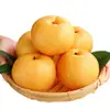 Pera Qiuyue de Laiyang Fruta Fresca 2.5kg Crujiente, Dulce y Jugosa Cosecha de Temporada Caja Entera Azúcar de Roca Pera Qiuyue de Shandong
