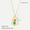Colar de Resina com Flores Secas Naturais Estilo Europeu e Americano Pingente de Flor Eterna em Aço Inoxidável Dourado 18K Corrente para Clavícula para Mulheres Venda Quente Transfronteiriça