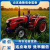 Tractor Pequeño de Cuatro Ruedas, Vehículo Multifuncional Agrícola con Ruedas, Changli 604, para Cultivo de Tierra, Excavación de Zanjas, Huertos, Zonas Montañosas y Invernaderos