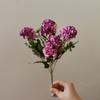 A velha pintura a óleo de 9 cabeças bola de crisântemo fortuna bola europeu simulação flor atacado flor falsa decoração de casamento flor transfronteiriça