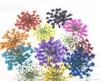 Accesorios para Uñas: Flores Secas, Fragmentos Florales, Mezcla Multicolor, Nuevo Romántico Primavera 2026 Decoraciones Pequeñas de Flor para Uñas