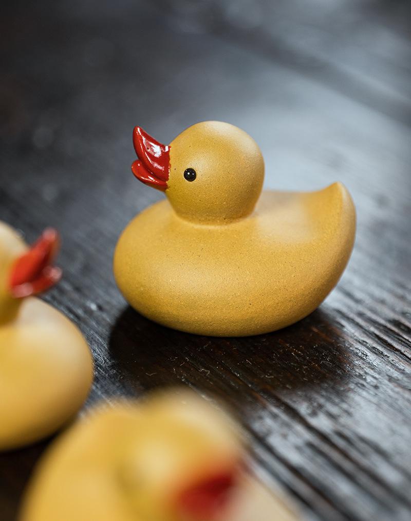 小黄鸭20210806 (10).jpg