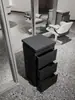 Mostrador de Herramientas para Barbería, Gabinete de Acero Inoxidable de Doble Cara para Salón de Peluquería, Almacenamiento con Cajones y Estante para Secadoras