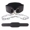 Cinto de suporte de peso para barra fixa, barra fixa interna, corrente de ferro para barra, dispositivo de treinamento de força da cintura para fitness, movimento de proteção da cintura