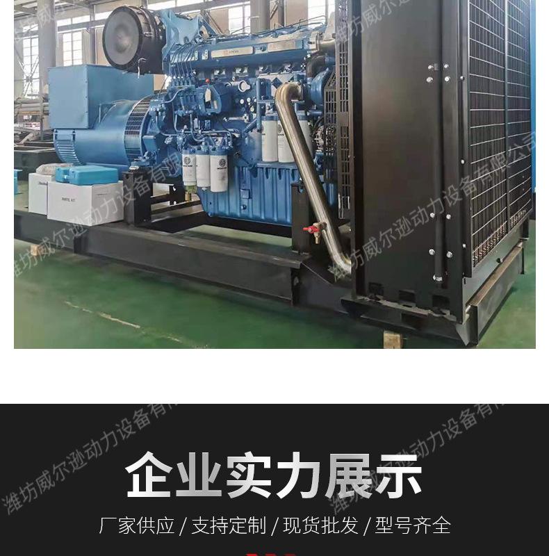 潍柴500千瓦发电机组_13.jpg