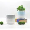 Maceteros de Cerámica Sencillos con Pintura Degradada para Suculentas Macetas Mini de Escritorio para Suculentas Fabricante Mayorista Plantas y Flores Verdes Transpirables