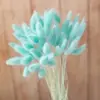 Comércio eletrônico transfronteiriço comércio exterior Amazon cor flor seca rabo de coelho grama atacado diy pequeno buquê vaso buquê