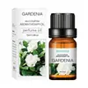 Mayorista de Fabricante Aceite Esencial de Lavanda Soluble en Agua Transfronterizo Aceite Esencial de Lavanda Soluble en Agua 10ml 29 Sabores