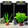 Plantas de Acuario, Decoraciones de Paisajismo con Césped Real, Plantas Aptas para Principiantes, Crisantemo Verde Ciempiés, Plantas de Sombra, Piedra Volcánica, Plantas Verdes Purificadoras de Agua