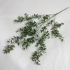 Efecto de tinte en flor de plástico no regresa, no cambia color verde de boda planta verde fresca pequeña material de hoja hierba creciente niebla
