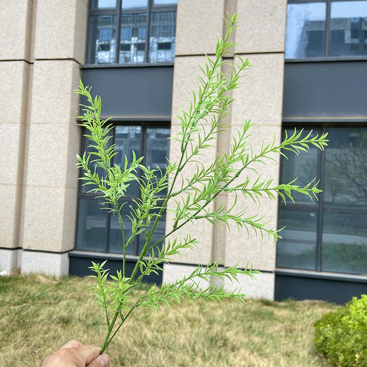 4叉原色清新草 绿色.JPG