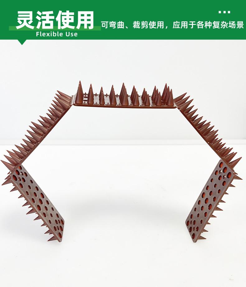矮鸟刺详情_08
