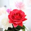 Simulación rosa tacto real hidratante mano flor de simulación ramo Día de San Valentín decoración del hogar decoración de boda flores falsas