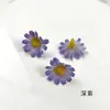 Flor artificial cabeza de crisantemo silvestre mini kit de material para accesorio de pasador de pelo DIY decoración floral para fotografía del hogar
