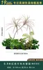 Flores Artificiais Plantas Verdes Conjunto de Divisória Decorativa Flores de Plástico e Seda Decoração de Paisagismo Arranjo de Paisagem Exibição de Janela Interna