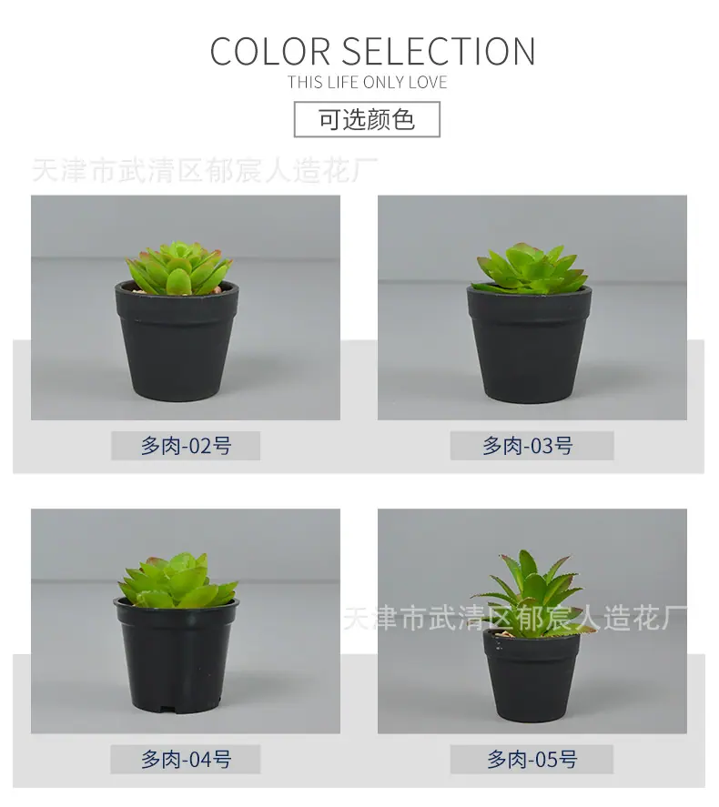 详情_02.png