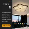 Lámpara de Techo para Dormitorio Estilo Wabi-Sabi Vintage con Pan de Oro, Lujoso Diseño Floral Protector de Ojos, Luz de Techo Retro de Resina para Dormitorio Principal