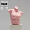 Accesorios de Maniquí para Ropa Interior de Mujer y Hombre, Maniquíes de Plástico Blanco Mate de Medio Cuerpo para Exhibición en Vitrina y Estantes de Exhibición al por Mayor