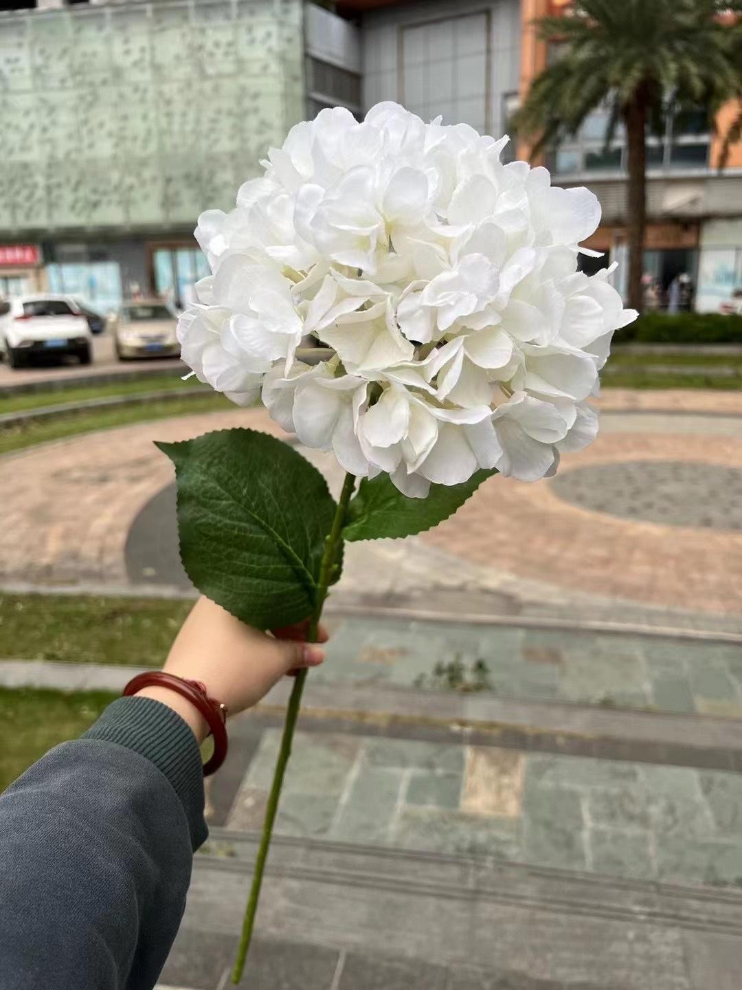 微信图片_20240916102747.jpg