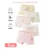 Roupa Íntima Feminina, Algodão Puro, Classe A, Boxer Grande, Médio e Pequeno para Crianças, Boxer para Bebês, Roupas Infantis Estilo Coreano, Atacado de Fabricantes