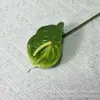 Nova Planta Artificial Antúrio Flor Artificial Decoração de Casa Flor Artificial Impressa em 3D Flamingo Adereços para Arranjo de Flores de Casamento