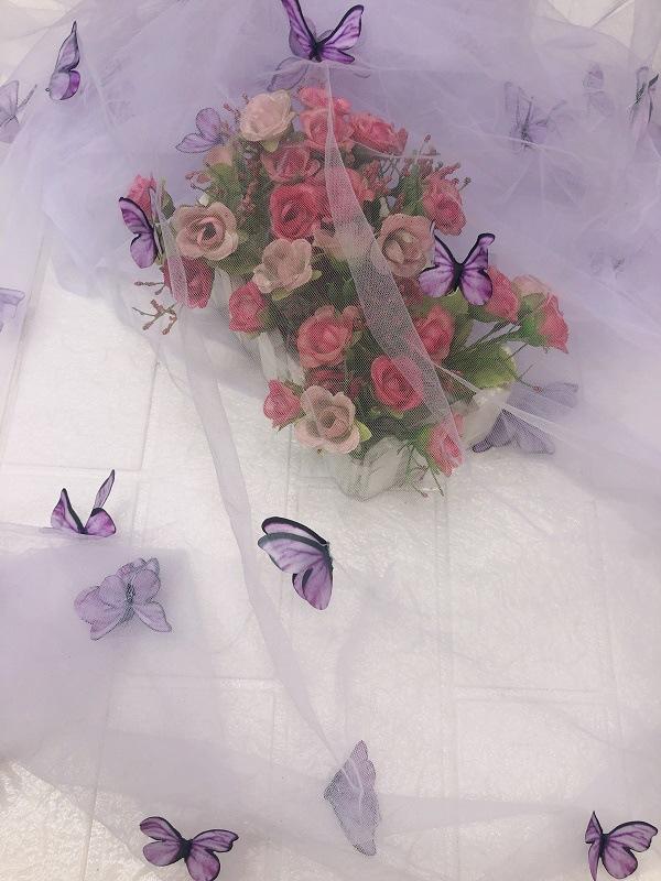 微信图片_20230406141758