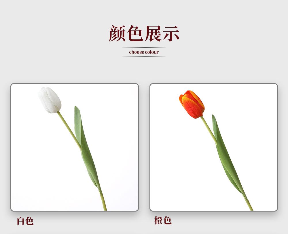 136.单枝拉菲郁金香_03.jpg