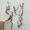 Adornos de Rama Seca Zen, Ramas de Azufaifo Dragón, Ramas Secas Curvas, Arreglos Florales para Paisajismo, Ramas de Madera Muerta para Sala de Estar