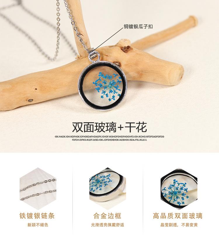 艾德_03.jpg