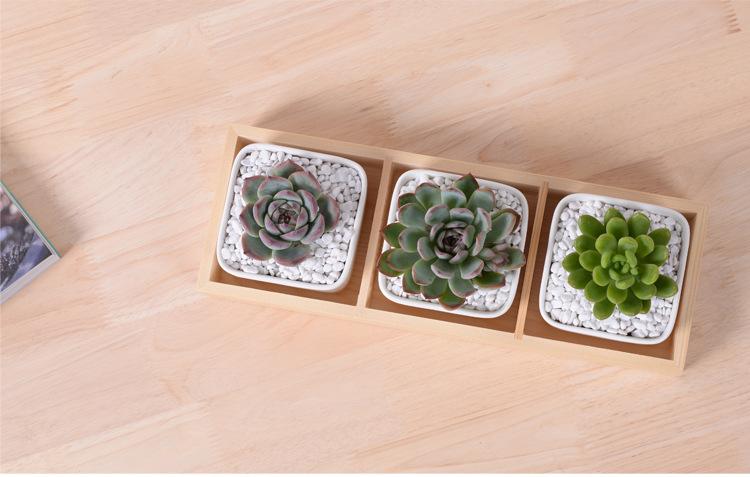 TB2S1OSlXXXXXcbXpXXXXXXXXXX_!!