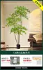 Planta Verde Artificial Nantianzhu, de Gama Alta y Lujo, de Pie, Grande para Interiores y Exteriores, Bonsái de Alta Calidad, Árbol Falso para la Sala de Estar