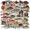 50 folhas/pacote peixe de mar profundo peixe vintage peixe adesivos mala carrinho carro elétrico guitarra PVC à prova d'água decoração grafite
