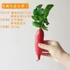 Modelo de Verdura Simulada Lechuga Falsa Repollo Brócoli Hojas Verdes Hojas de Shanghái Modelo de Gabinete Decoración para Casa