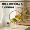 Soporte de Anillo Colgante de Pájaro Colorido para Loros Pequeños, Soporte Colgante para Pájaros Mascotas para Jugar y Descansar, Venta al por Mayor por Fabricante