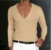 Serie de Ropa de Verano para Hombre Europea y Americana Transfronteriza 2024 AliExpress Amazon Estación Independiente Nueva Camiseta Lisa de Cuello en V