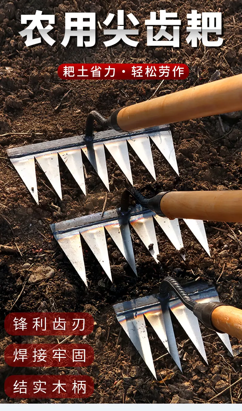 尖齿耙_01.jpg