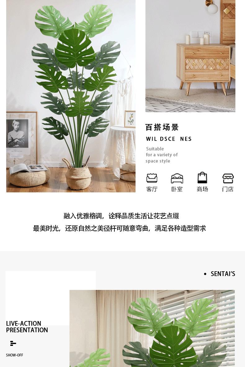 龟背-详情_06.png