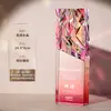 Trofeo de Cristal Hecho a Medida para Premios de Alta Gama y Elegantes para Empleados Destacados, Campeones de Concursos Creativos y Premios de Reunión Anual