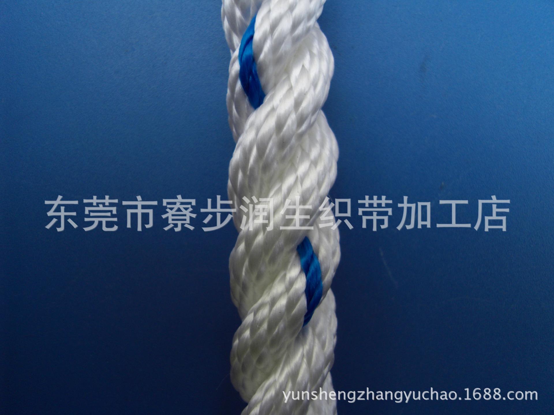 SDC10058