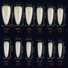 Uñas Cortas Estilo Japonés Uñas Delgadas Estilo Coreano Sin Pliegues 500 Piezas Tamaño Corto Ovaladas Cuadradas Trapezoidales Uñas Portátiles