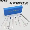 Kit de Disección Biológica, Juego de Siete Piezas, Tijeras de Disección, Pinzas, Preparación de Espécimenes, Caja de Herramientas para Laboratorio Biológico